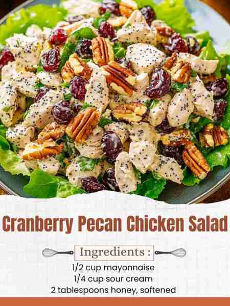 Cranberry Pecan Chicken Salad Ingredients: Dressing: ½ cup mayonnaise ¼ cup sour cream 2 tablespoons...