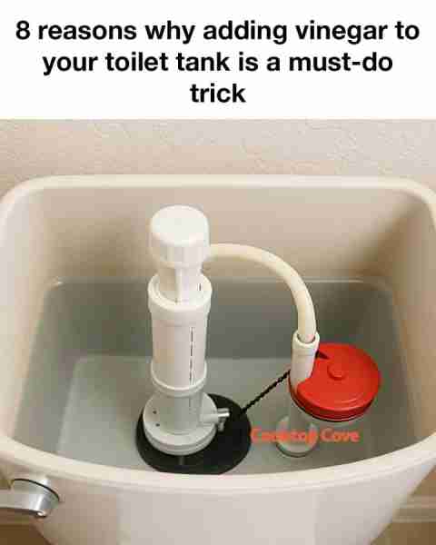 8 reasons why adding vinegar to your toilet tank is a must-do trick. Full article 👇 💬