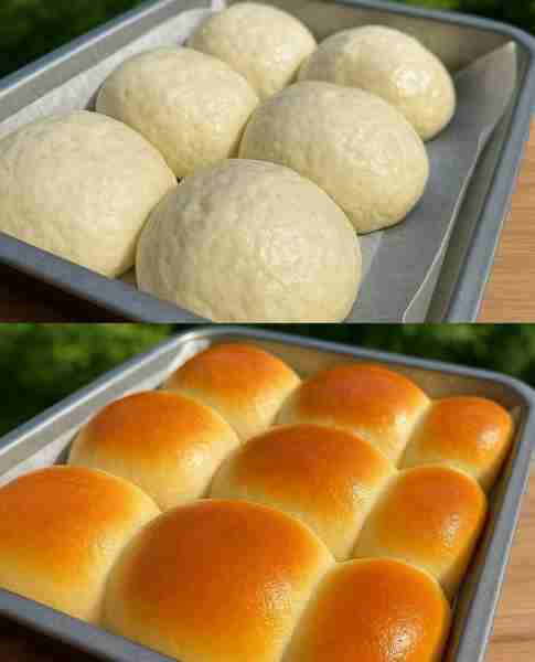 Soft No Knead Dinner Rolls Recipe: Ingredients: 3 1/2 cups all-purpose flour 1 packet (2 1/4 teaspoo...