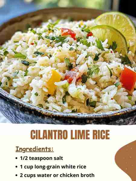 Cilantro Lime Rice Ingredients: 1/2 teaspoon salt 1 cup long-grain white rice 2 cups water or chick...