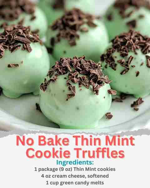 No Bake Thin Mint Cookie Truffles Ingredients: 1 package (9 oz) Thin Mint cookies or chocolate mint...