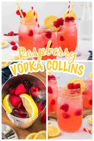 Recipe: https://www.bunsinmyoven.com/raspberry-vodka-collins/ I doctored up my classic Vodka Collins...