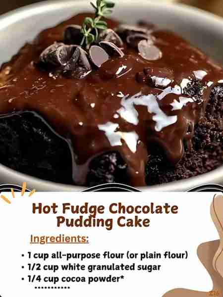 Hot Fudge Chocolate Pudding Cake 🍮 Ingredients CAKE: 1 cup all-purpose flour (or plain flour) 1/2 c...