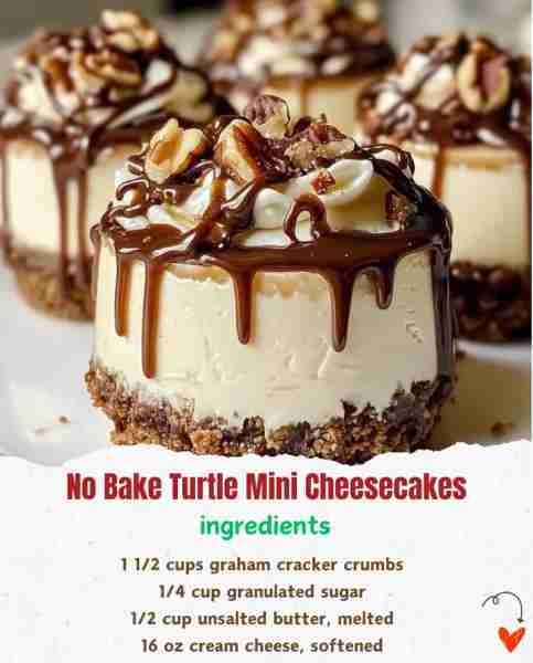 No Bake Turtle Mini Cheesecakes 🍰🐢🍫🥜 Ingredients: 1 1/2 cups graham cracker crumbs 🥯 1/4 cup...