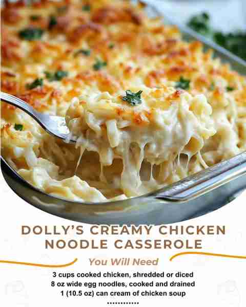 Whether you’re looking to feed a large family, bring comfort to a neighbor, or prep meals for the we...