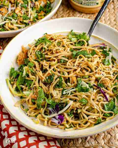 I love the flavours in this Delicious Peanut Noodle Chicken Salad Bowl - perfect for lunch or dinner...