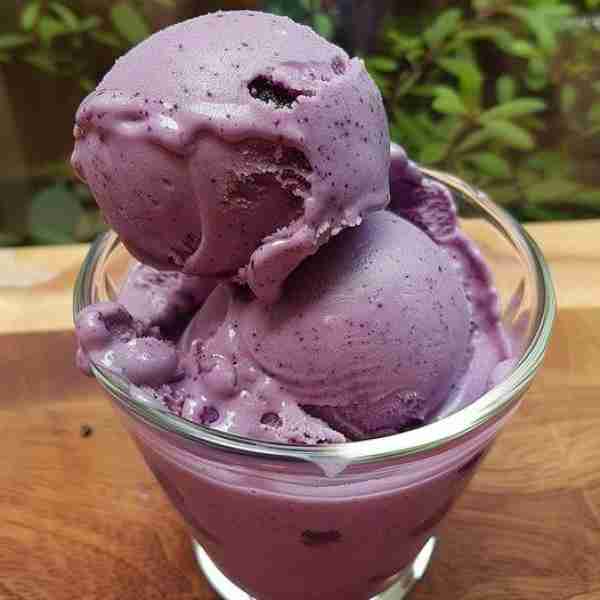 Blueberry Ice-Cream Recipe
