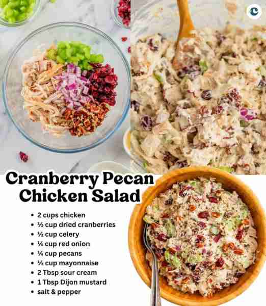 CRANBERRY PECAN CHICKEN SALAD This cranberry chicken salad recipe is a fresh twist on a classic, com...