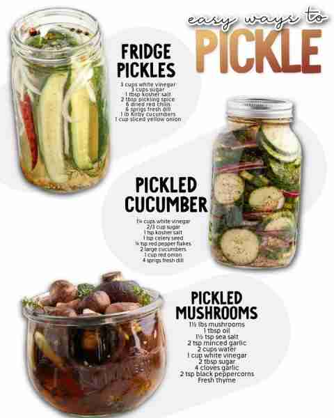 Easy ways to make pickle at home!!🥒 Ingredients 1. Fridge Pickles 🥒 3 cups of white vinegar 3 cups...
