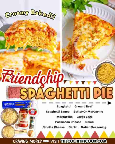 Friendship Spaghetti Pie is a creamy baked spaghetti that is not only yummy but it makes two meals....