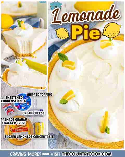 Enjoy a slice of homemade Lemonade Pie for a refreshing and slightly tart dessert. A soft set, no ba...
