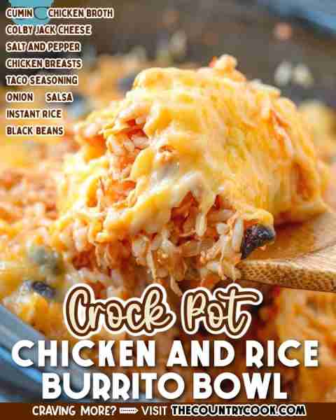This Crock Pot Chicken and Rice Burrito Bowl has tons of flavor thanks to salsa and seasoning and on...