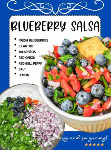 🫐 HOMEMADE BLUEBERRY SALSA This is a great appetizer! RECIPE BELOW