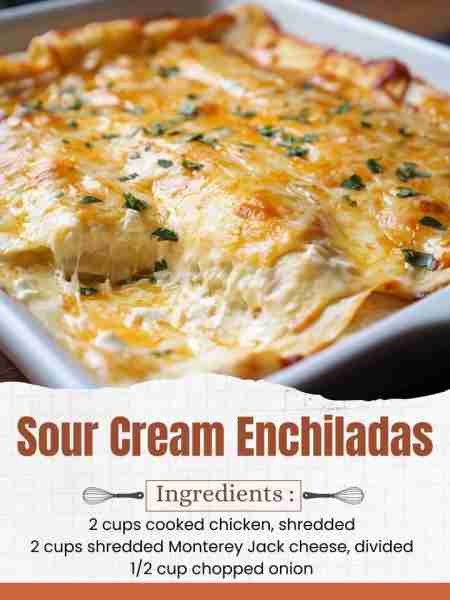 Sour Cream Enchiladas Ingredients: 8 large flour tortillas 2 cups cooked chicken, shredded 2 cups sh...