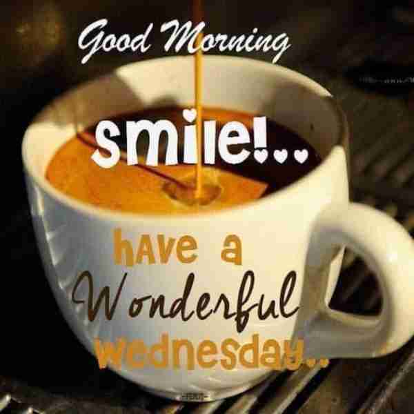 🧡Good Morning Y’all. 🧡I hope and Pray y’all have a wonderful Wednesday. Smile and let’s make it a...