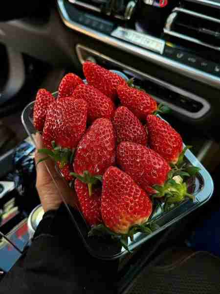 Strawberry 🍓🍓