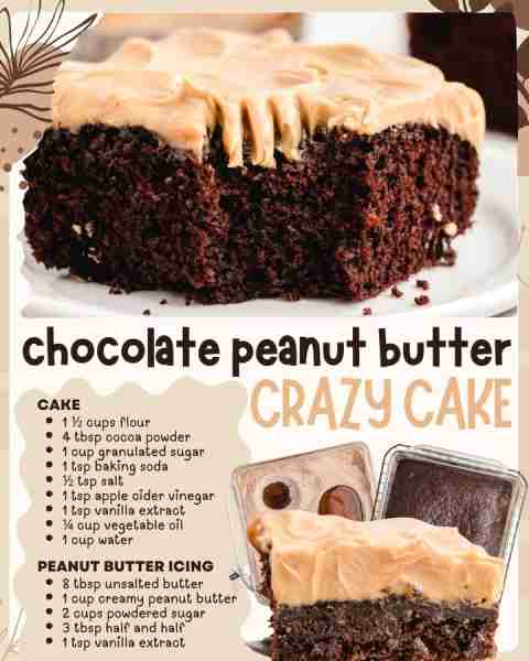 CHOCOLATE PEANUT BUTTER CRAZY CAKE! One bowl, no eggs, and so much flavor! 🍫🥜 Who’s making this ea...
