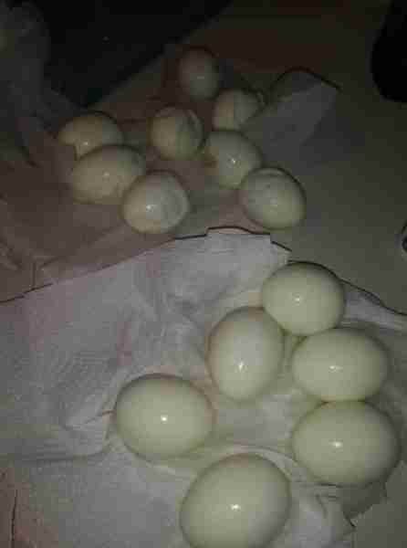 So we can put this egg debate to rest! Eggs on top were boiled with salt in the water. TOTAL DISASTE...