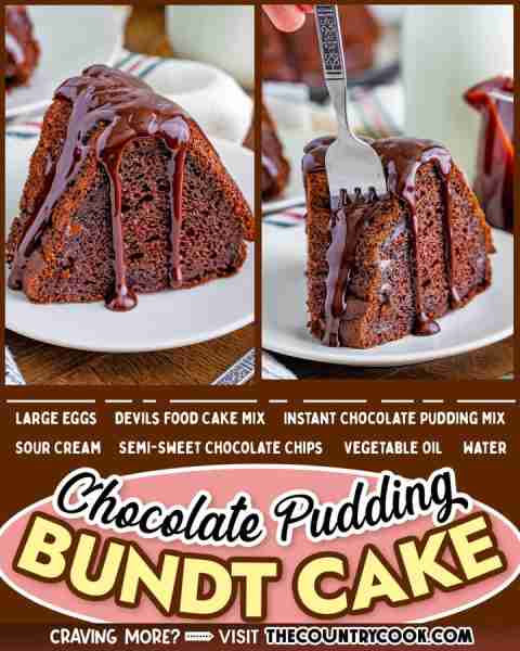 Chocolate Pudding Bundt Cake starts with a boxed cake mix but once it’s all whipped up, baked then t...