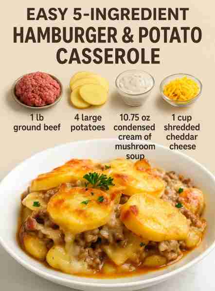 Easy 5-Ingredient Hamburger & Potato Casserole Ingredients 1 lb ground beef for the base layer 4...