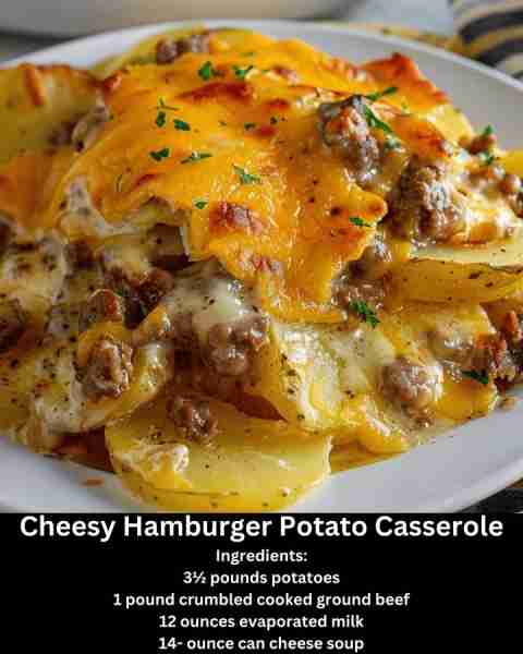 "Brought this hamburger potato casserole to a family dinner gathering and everyone liked it, even th...