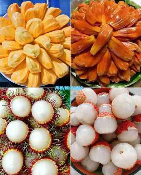 Fruit I like 🥭😋