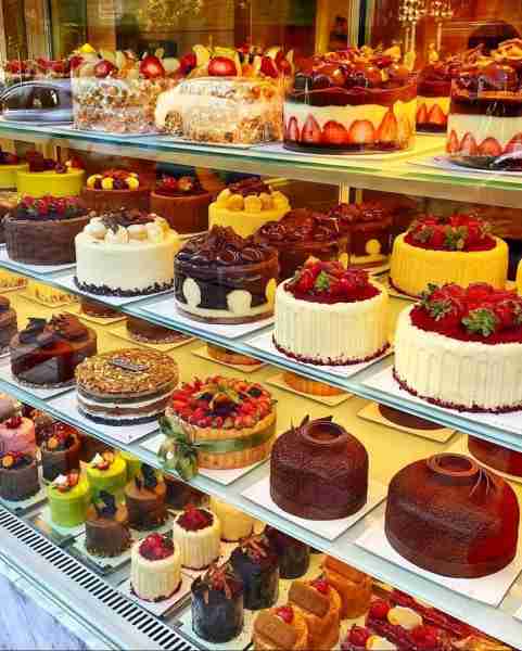 Cake Lovers😋🤤
