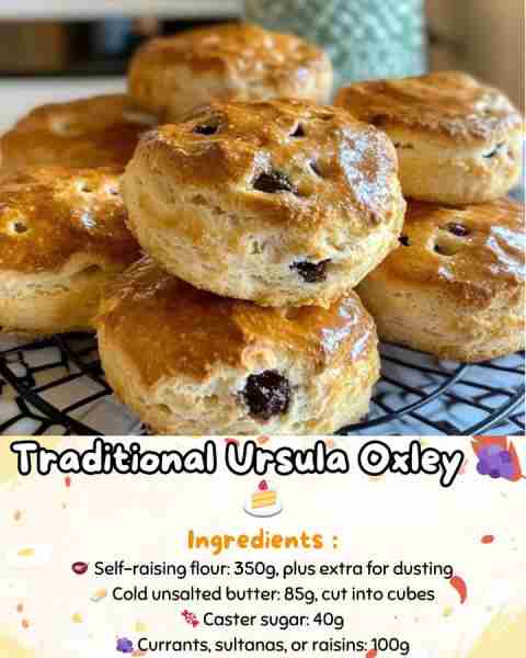 Traditional Ursula Oxley 🍇🍰 Beautifully risen, lightly sweetened, and packed with juicy currants —...
