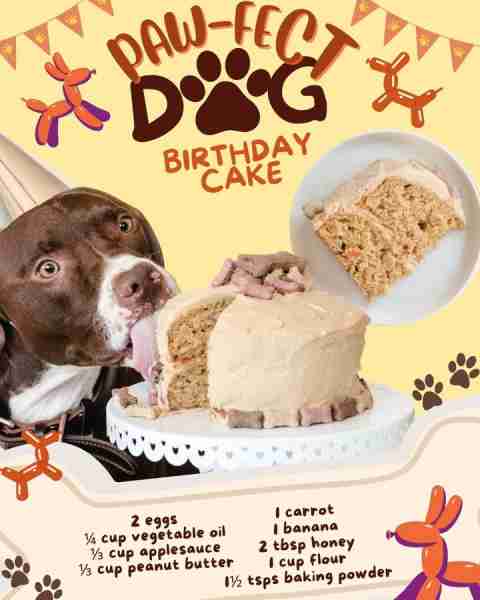 Let’s raise the woof! 🎉🐶 This doggy birthday cake is the ultimate treat for one spoiled pup! 🎂🐾...