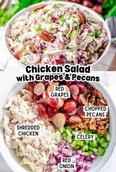 THE BEST CHICKEN SALAD! Sweet grapes, crunchy pecans, and a creamy, tangy dressing come together to...
