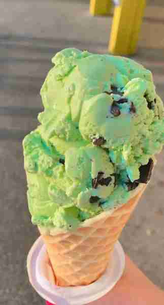 Mint chocolate chip ice cream 🍦