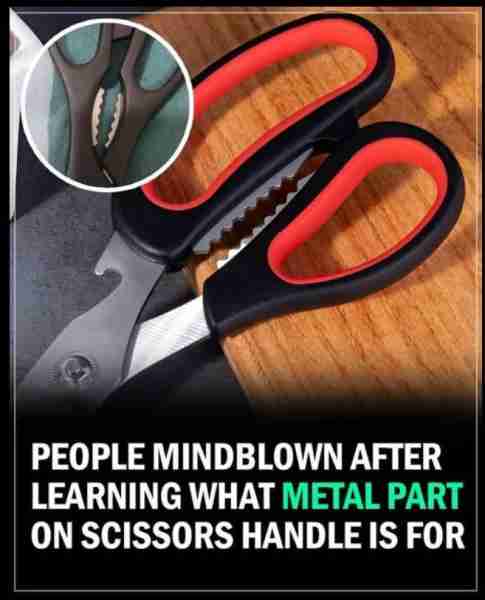 And to think I had NO clue... and now I want to use it! 😮 🤯More👇
