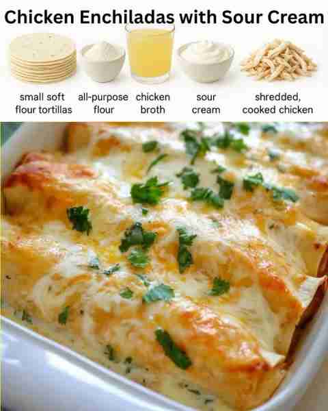Chicken Enchiladas with Sour Cream White Sauce Recipe below👇💬