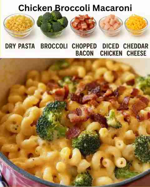 Chicken Broccoli Macaroni and Cheese with Bacon Full recipe 👇💬