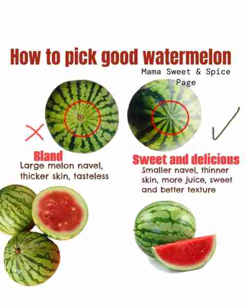 I love watermelon! Here’s what you need to know!