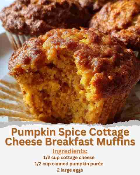 Pumpkin Spice Cottage Cheese Breakfast Muffins Ingredients: - 1/2 cup cottage cheese - 1/2 cup canne...