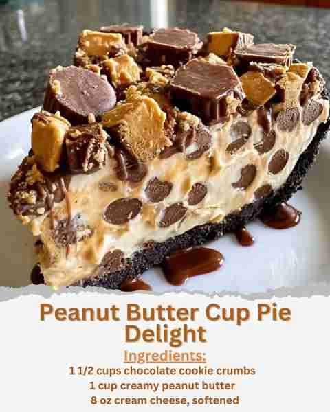 Peanut Butter Cup Pie Delight Ingredients: - 1 1/2 cups chocolate cookie crumbs - 1/4 cup unsalted b...