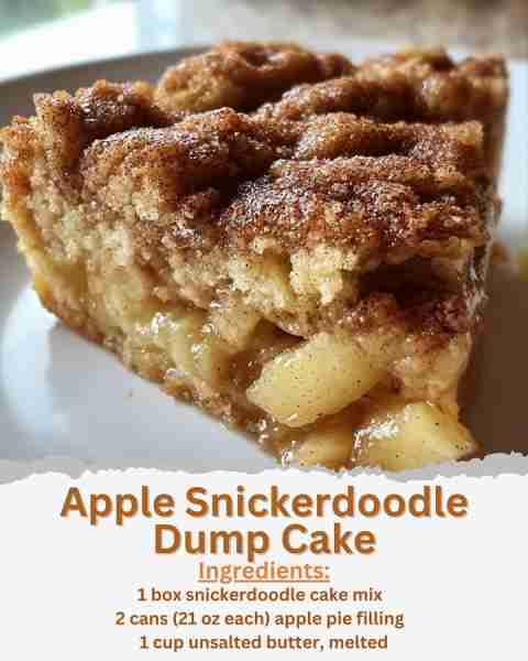 Apple Snickerdoodle Dump Cake Ingredients: - 1 box snickerdoodle cake mix - 2 cans (21 oz each) appl...