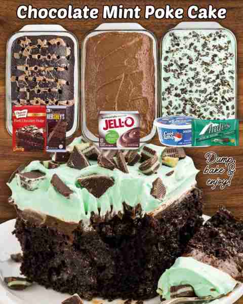 CHOCOLATE MINT POKE CAKE! 🍫 1 box of Dark Chocolate Fudge Cake Mix 🍫 1 cup water 🍫 3 large eggs...