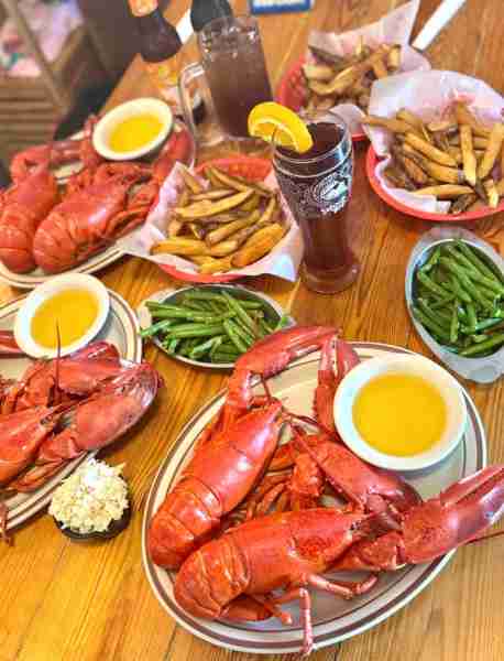 Lobster🦞🦞🦞🦞🦞