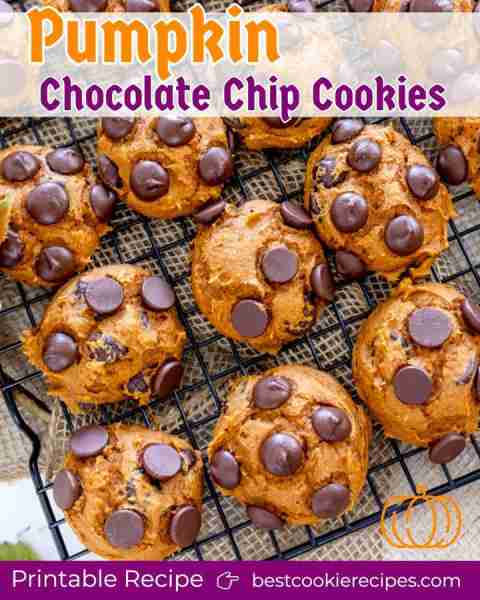 Pumpkin Chocolate Chip Cookies are a 3 ingredient recipe and the epitome of fall flavor! If you're a...