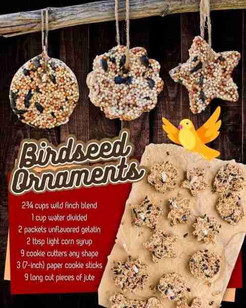 BIRDSEED ORNAMENTS! 2¾ cups wild finch blend 1 cup water divided 2 packets unflavored gelatin 2 tbsp...