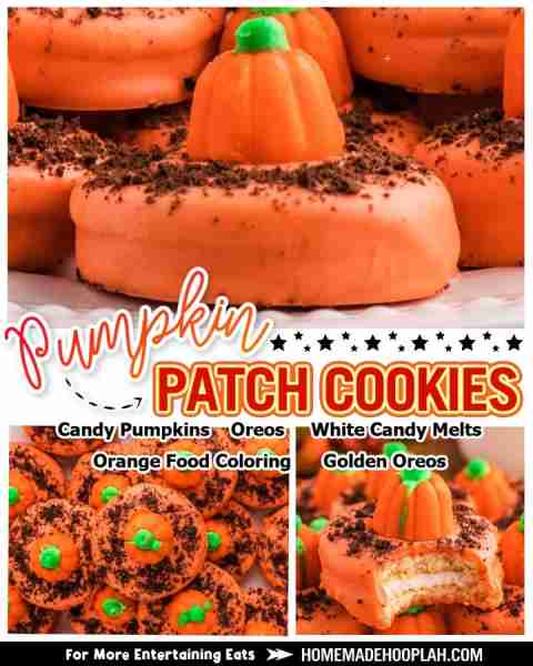Pumpkin Patch Cookies! 🎃🍪 ⭐RECIPE IN COMMENTS⭐ tap photo to see 📷