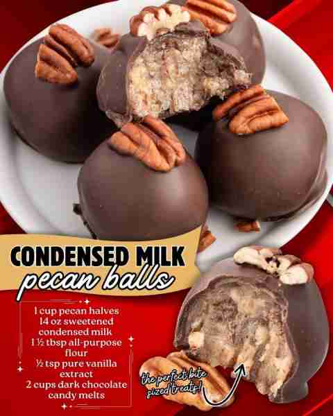 CONDENSED MILK PECAN BALLS! 1 cup pecan halves 14 oz sweetened condensed milk 1 ½ tbsp all-purpose f...