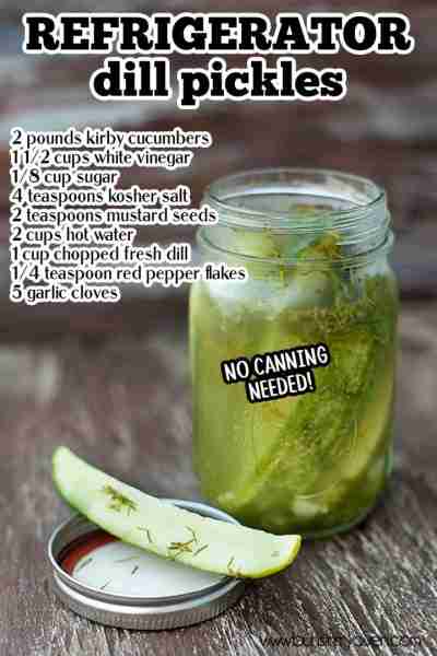 Recipe: https://www.bunsinmyoven.com/easy-refrigerator-dill-pickles/ No canning needed - these dill...