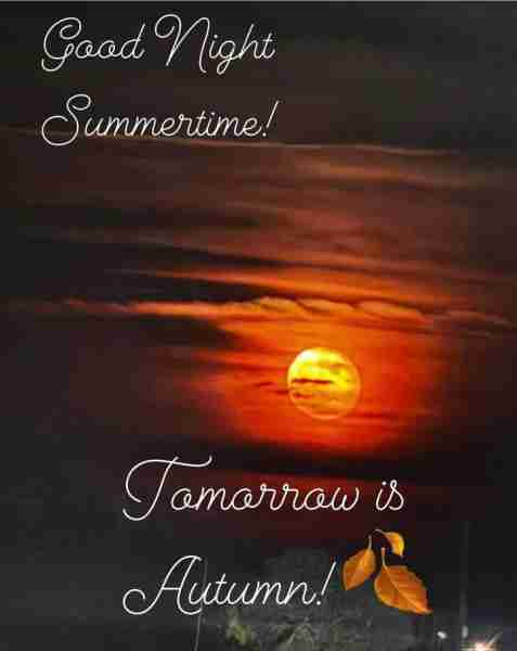 💤Good Night on this last night of summer 2025! Tomorrow is the first day of Autumn/Fall. It still f...