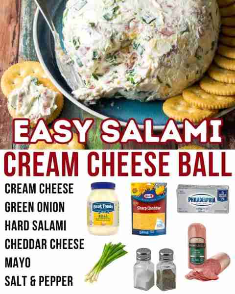 Here's the recipe to my famous Salami Cream Cheese Ball, perfect for parties!🎉 👇LINK👇