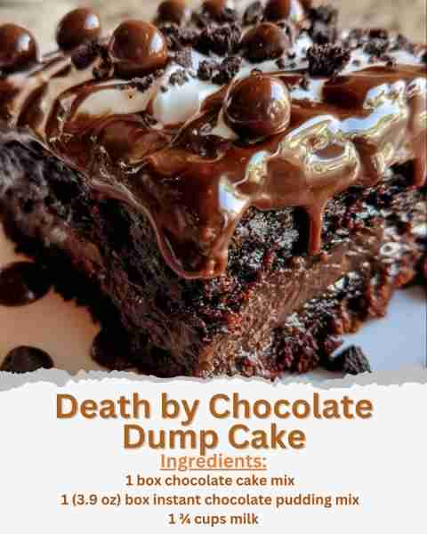 Death by Chocolate Dump Cake Ingredients: - 1 box chocolate cake mix - 1 (3.9 oz) box instant chocol...