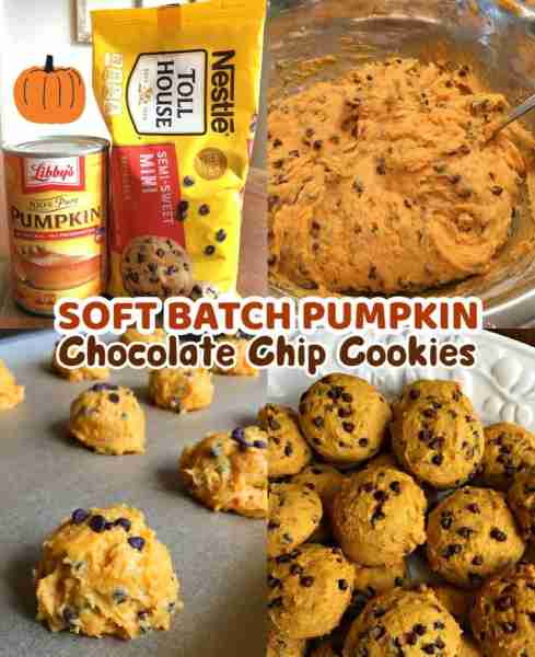 Soft-Baked Pumpkin Chocolate Chip Cookies 🎃🍪 A Fall Favorite!! Full recipe 👇
