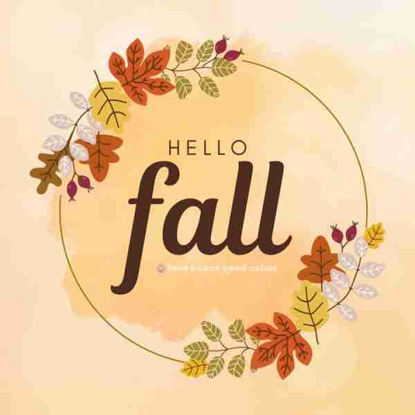 Happy Fall! 🍂 Wishing you cozy nights, colorful leaves, and all the flavors of the season. Pumpkin...